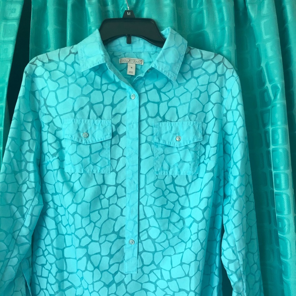 Blue dress blouse